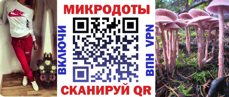 Псилоцибиновые грибы Psilocybine cubensis OMG зеркало Далматово наркошоп